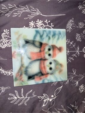 Cute Winter Owl Trivet with Coral Accents